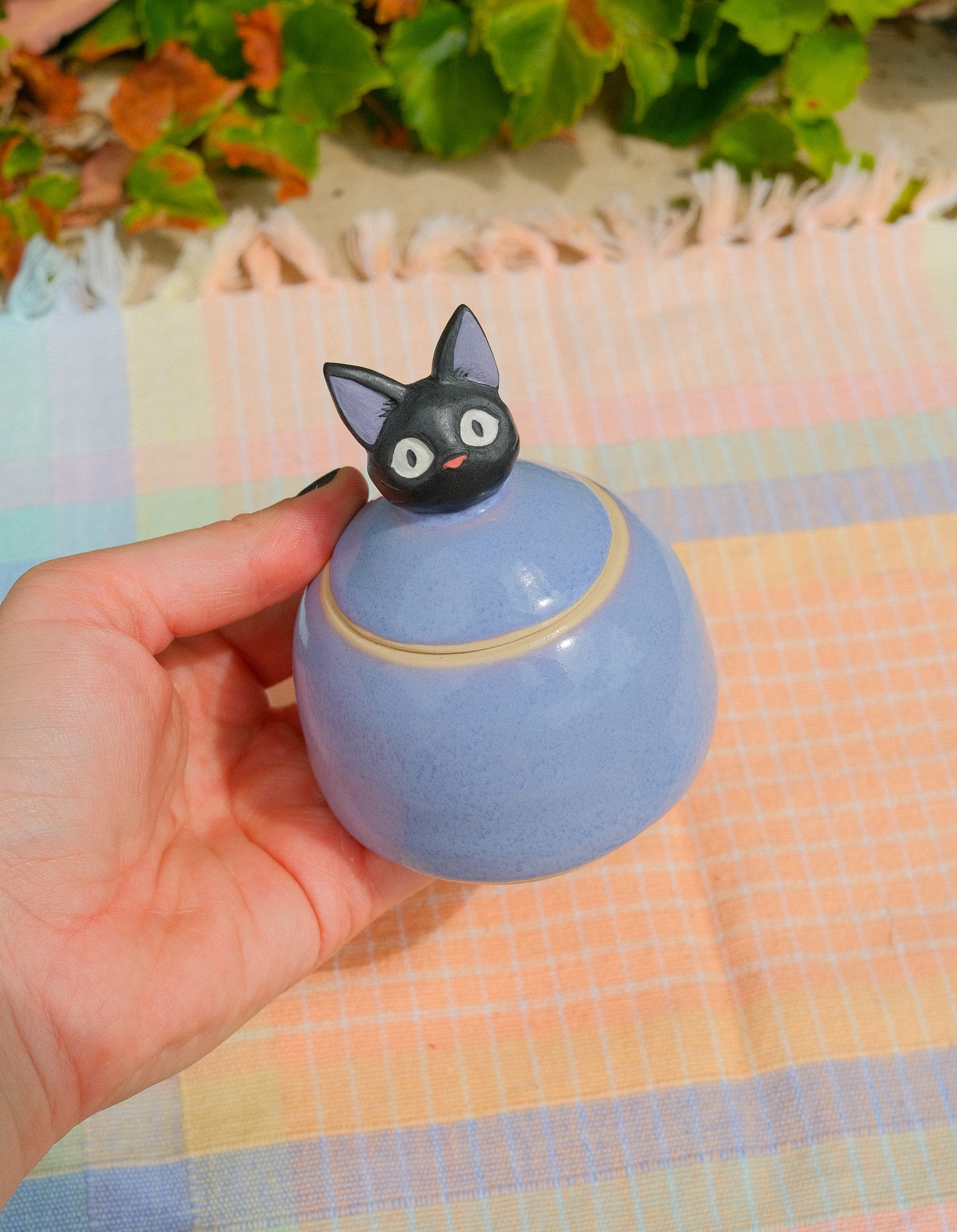 Jiji Jar