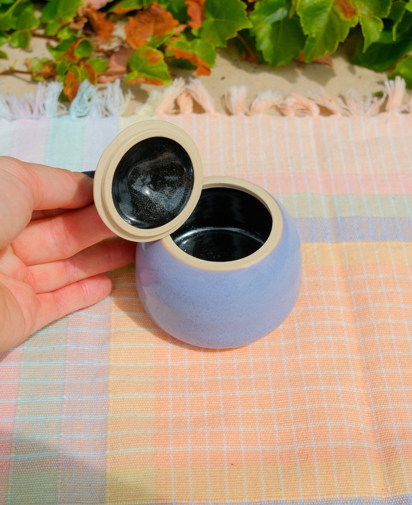 Jiji Jar