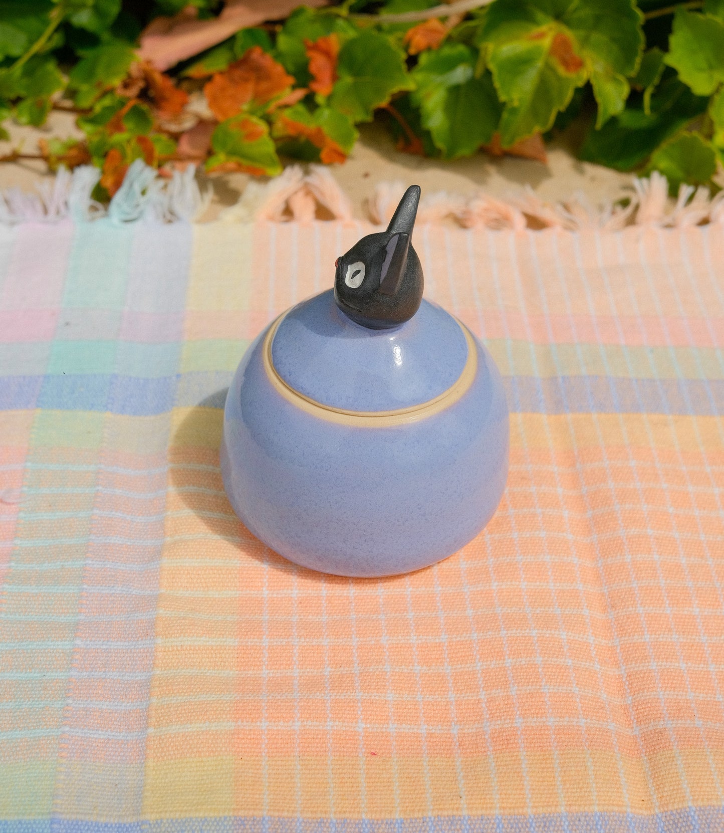 Jiji Jar
