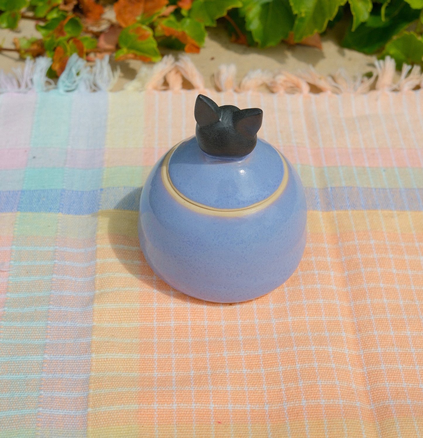 Jiji Jar